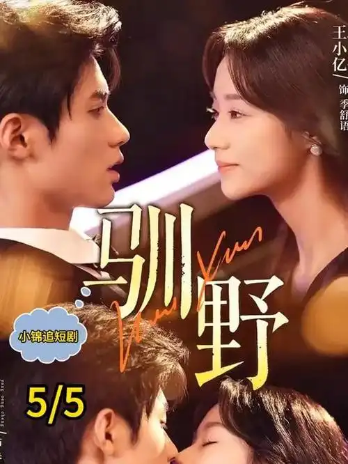 山与海的信国产剧全集手机免费在线观看